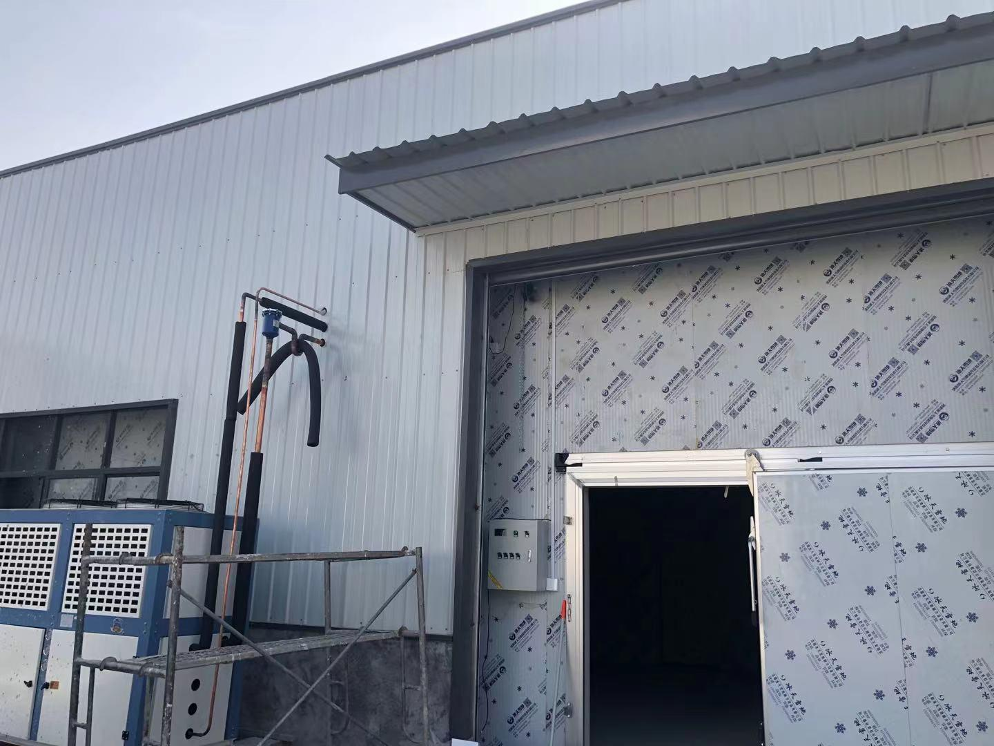 洛陽天之元食品廠冷庫項(xiàng)目