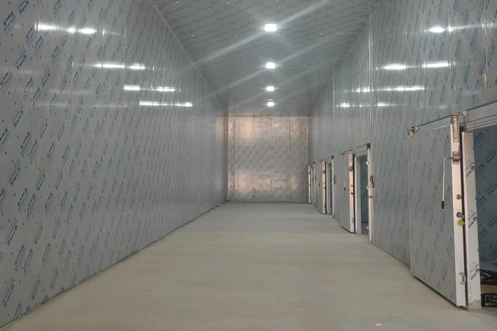 伊川縣白元鎮(zhèn)富硒果蔬冷鏈倉儲(chǔ)項(xiàng)目