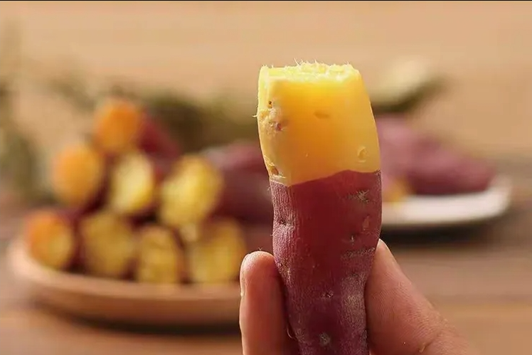 智能甘薯糖化愈合庫，紅薯存儲(chǔ)新變革